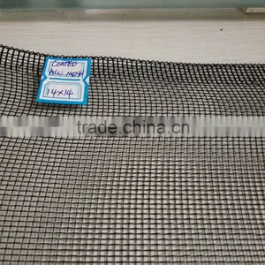 Window Screen thumbnail-2