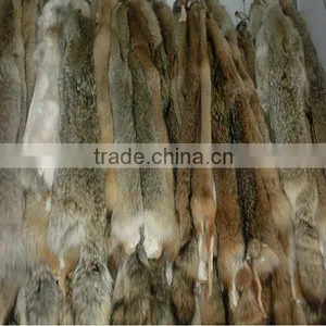 Real Natural Coyote Fur Skin / Wolf Fur Skin / Fur Skin thumbnail-2