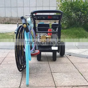 BISON Taizhou 150bar Portable Gaoline High Pressure Washer, Gasoline High Pressure Water Jet Cleaner thumbnail-6