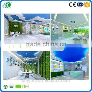 Loose Tea Style and Nature Organic Green Tea thumbnail-6