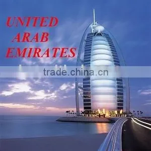 Freight Forwarding Services From China to UNITED ARAB EMIRATES(UAE) thumbnail-1