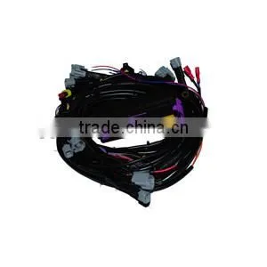 AC300 ECU (LPG/CNG Vehicle Modification System) Cng Ecu Kit thumbnail-2