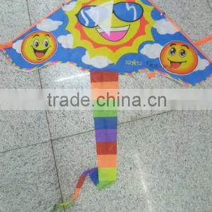 Kites thumbnail-1