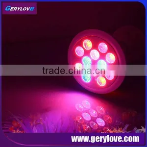 Hot Sale on Amazon !! 660nm 630nm 460nm 12 Watt Led Grow Light Europe thumbnail-1