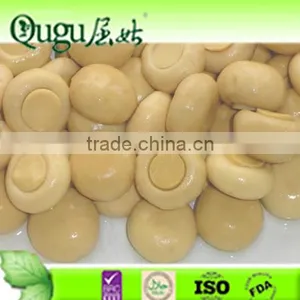 Chinese Supplier of Canned Vegetable Mushroom thumbnail-1