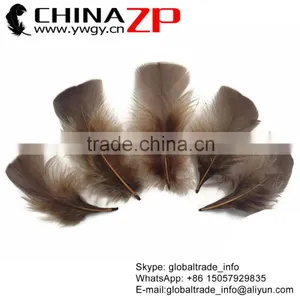 ZPDECOR Unique Plumage Crafts Factory Bulk Dyed Brown Turkey T-Base Body Feathers for Sale thumbnail-1