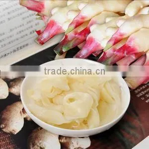 Top Quality of Organic Fresh and Dried Ginger for Sell From South Africa thumbnail-1