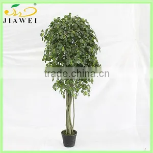 Make Artificial Money Tree Plant thumbnail-1