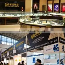 Shenzhen Moonlon Industrial Co., Ltd. company overview - view 1 thumbnail