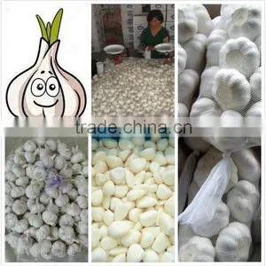 2014 Fresh Garlic , Jinxiang Garlic Normal White and Pure White thumbnail-3