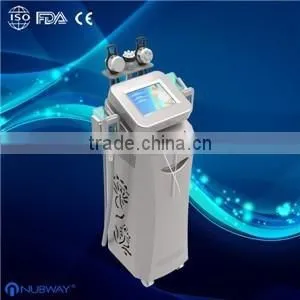 Body Contouring Cryolipolysis Fat Freezing Body Cellulite Reduction Care Slimming Cryolipolysis Fat Freezing Machine Body Reshape thumbnail-1