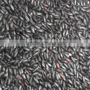Black Rice thumbnail-1