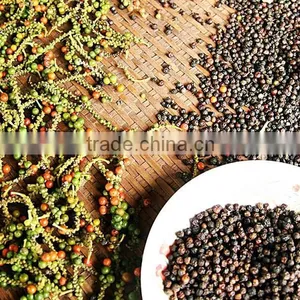 BLACK PEPPER VILACONIC thumbnail-6