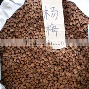Yang Mei Top Grade Fruit Crops Bayberry Seeds For Sale thumbnail-1