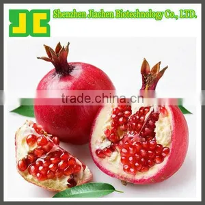Sell 100% Natural Pomegranate P.E. With Ellagic Acid 40%,high Quality thumbnail-1