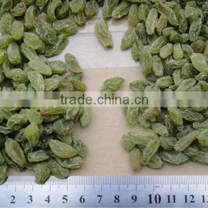 95% Green Raisin ,chinese Best Green Raisin,AAA Grade thumbnail-1