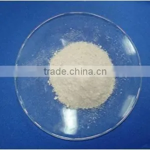 Chitosan Powder thumbnail-1