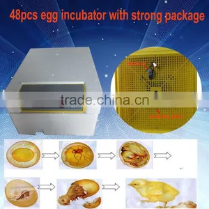 Automatic Poultry or Bird 48 Egg Incubator With Spare Parts thumbnail-1