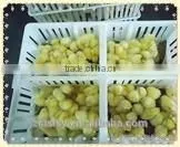 the Hot Quality the High Utilization Rate of Poultry Transport Box for Chicken and Duck thumbnail-1