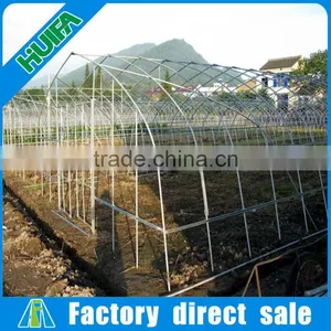 Tunnel Plastic Greenhouse for Strawberries Agriculture Tunnel Greenhouse thumbnail-4