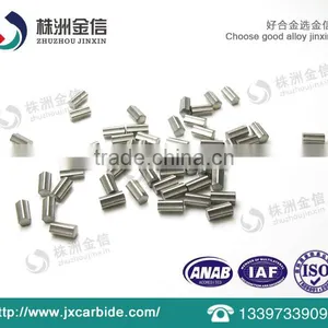 Hot Sale Winter Tire Studs Carbide Pins thumbnail-4