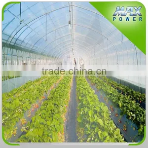 Garden Tunnel Greenhouse for Sale thumbnail-2