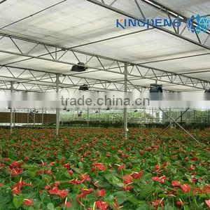 Multi Span Glass Greenhouse for Tomato Production thumbnail-1