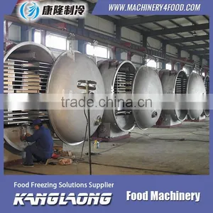500Kg/H Freeze Dry Machine Price thumbnail-4