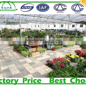 Backyard Glass Greenhouse Sale thumbnail-6