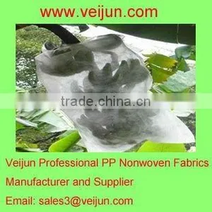 ECO-friendly Nonwoven Banana Cultivating Bag thumbnail-1