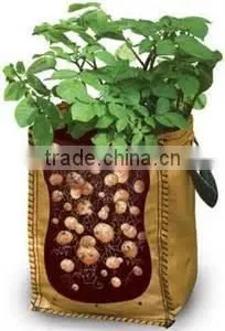 Non Woven Fabric Plant Pots Garden Grow Bags About Tomatoes thumbnail-1