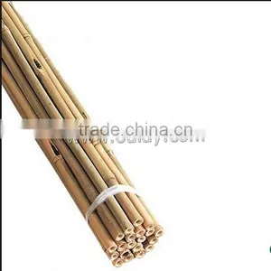 Wholesale Gardening Poles Nature Tonkin Raw Bamboo Canes for Planting thumbnail-1