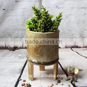 Unique Beautiful Home & Garden Decoration Nature Green Bamboo Flower Vase thumbnail-1