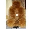 Seat Cover thumbnail-1