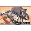 Uni-Drive Timing Belt thumbnail-1