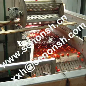 Tomato Paste Production Line With Customized Treatment Capacity thumbnail-3