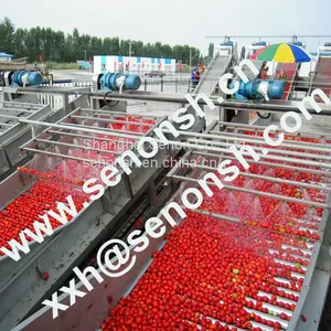 Good Manufacturer Tomato Paste Production Line thumbnail-1
