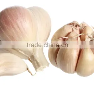 Garlic Seeds Garlic Price thumbnail-1
