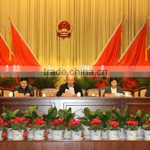 Conference Flag thumbnail-1