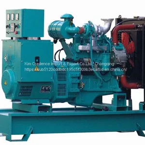 New Powerful Heavy Duty Generator With Electric Starter, Ce Euro V, EPA thumbnail-1