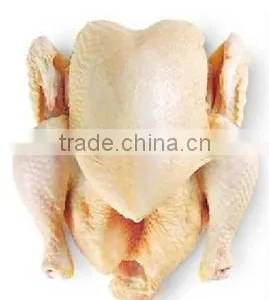 Chicken Griller thumbnail-2