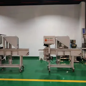 Production Line for Forming, Coating With Batter, Coating With Flour, and Frying Meat Patties thumbnail-4