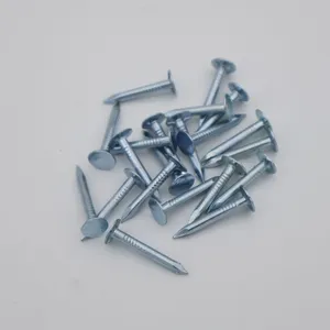 Flat Head Roofing Nails 1kg Box Galvanized Steel for Building Materials Wholesale thumbnail-2