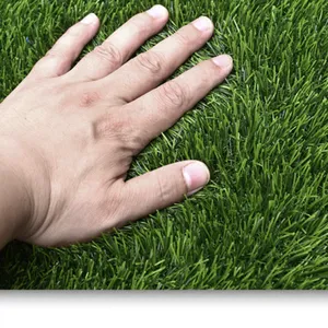 Anti-static Artificial Turf With UV Protected PP Yarn, 7-Year Anti-fade Warranty thumbnail-1