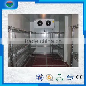 Direct Factory Price Best Sell Cold Storage/cold Room for Waxberry/grape thumbnail-3