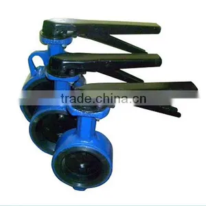 Lined Butterfly Valve thumbnail-1
