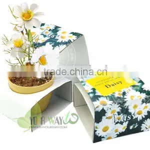 Mini Flower(degradable Pot),canned Flower,mini Garden Flower thumbnail-1