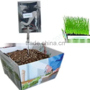 Herb Garden,mini Plant,Herb thumbnail-1