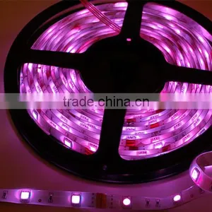 SMD5050 12V Led Strip Lights, Decoration Flexible Strip Light,flexible Light Strip thumbnail-1