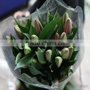 Most Popular Fashion Beautiful Cheap Wholesale Water Lily thumbnail-2